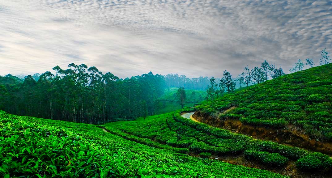 Kerala Tourism’s Bold New Trends Revealed at Network Kerala